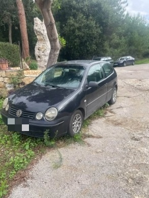 Volkswagen Polo 2001 — 3