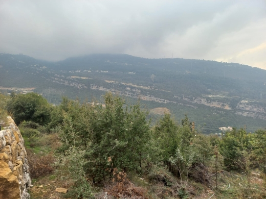 2,209 SQM Land With Mountain View For Sale in Adonis