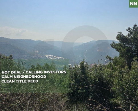 Prime Land/ Hot Deal/Calling Investors/mountain view/Ras L Jabal,ALEY/عاليه /REF#NN141986
