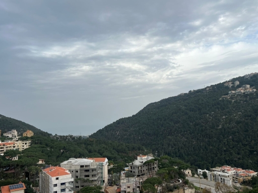 Catchy Price! Roof Apartment with Terrace For Sale in Baabdat — 10