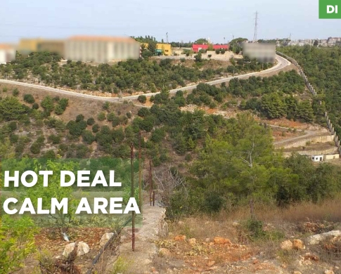 GREAT INVESTMENT POTENTIAL/PEACEFUL 2022 SQM LAND/DIBBIYEH,CHOUF/دبيه/REF#DI142093 !