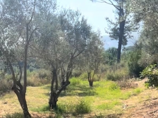 4,550 SQM Land For Sale in Aghmeed, Aley — 7