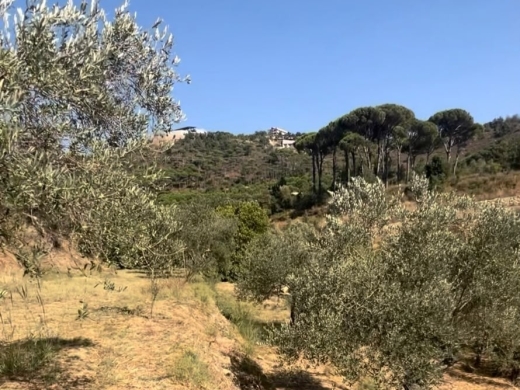 4,550 SQM Land For Sale in Aghmeed, Aley — 6