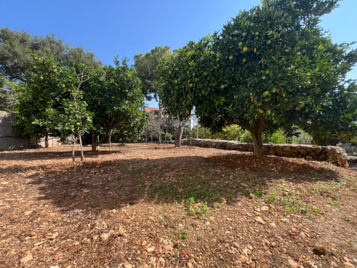 Traditional Stone House with Land For Sale in Koura — 2