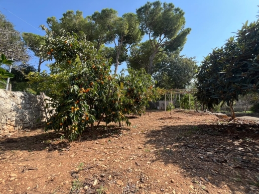 Traditional Stone House with Land For Sale in Koura — 6