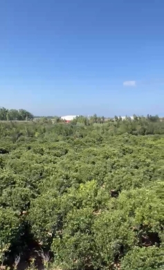 R9-4054 77,000m² Land Estate for Sale in Semekiyeh Akkar | With Building & Solar Power — 2