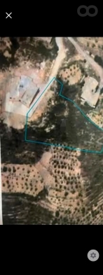 رض للبيع في المشرفة عاليه كوشان أخضر | Land for Sale in Mcharfeh Aley
