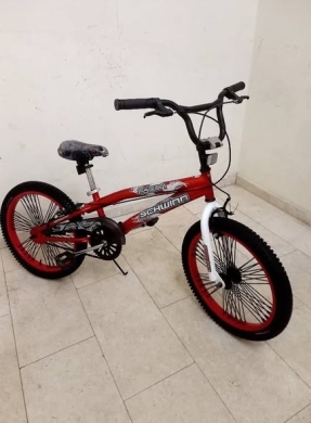Schwinn USA Bicycle Size 20 — 2