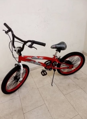 Schwinn USA Bicycle Size 20 — 5