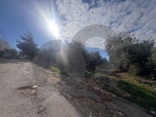 SEA-VIEW LAND FOR SALE IN BENTAEL,JBEIL/ببنتاعل /MINUTES FROM JBEIL/PANORAMIC VIEW/R… — 3