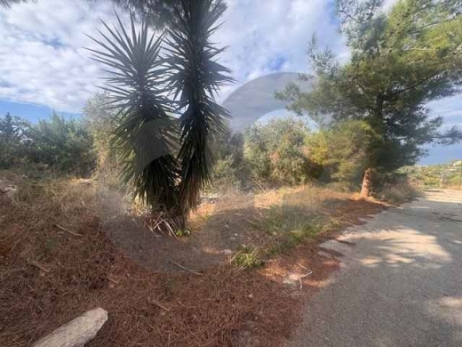SEA-VIEW LAND FOR SALE IN BENTAEL,JBEIL/ببنتاعل /MINUTES FROM JBEIL/PANORAMIC VIEW/R… — 2