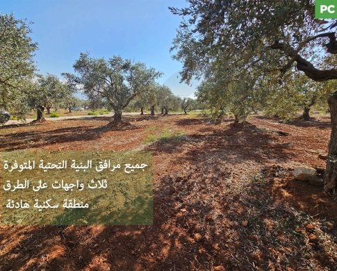 PRIME LAND FOR SALE IN KFARHAWRA,ZGHARTA/كفرحورا /MAIN ROAD ACCESS/REF#PC142145 !