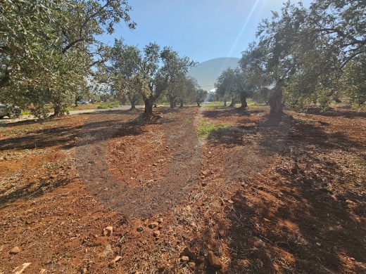 PRIME LAND FOR SALE IN KFARHAWRA,ZGHARTA/كفرحورا /MAIN ROAD ACCESS/REF#PC142145 ! — 2