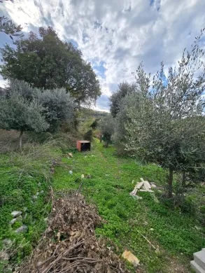 700 SQM Land For Sale in Beit Chabeb