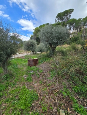 700 SQM Land For Sale in Beit Chabeb — 4