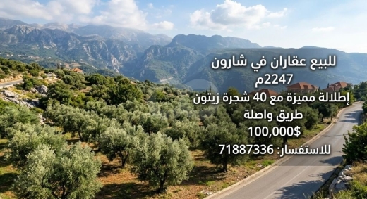  فرصة عقارية مميزة للبيع في منطقة شارون (الجبل) للبيع عقاران بمساحة إجمالية 2247 متراً مربعا