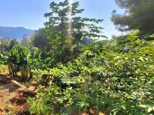 3,631 SQM Land For Sale in Ghazir, Maameltein — 2