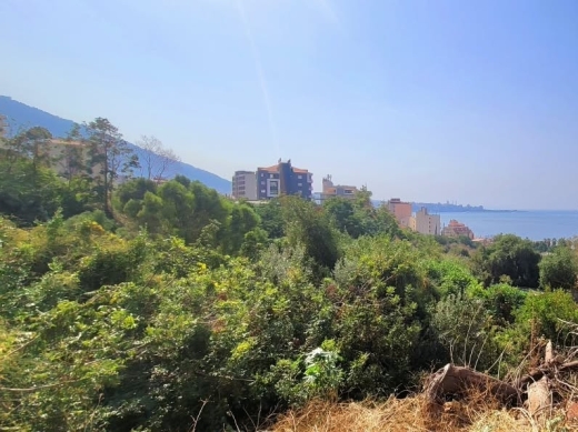 3,631 SQM Land For Sale in Ghazir, Maameltein — 3