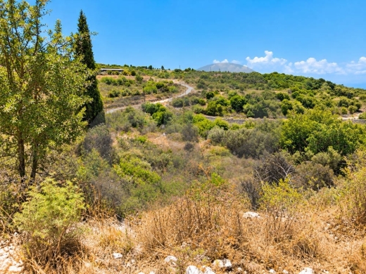 Beautiful Sea View/prime land/Great Opportunity/QALHAT, KOURA/قلحات /REF#BD142339 — 2