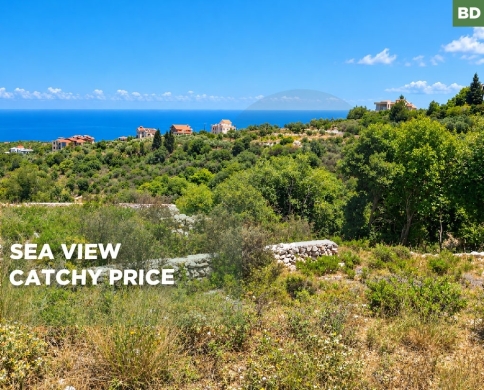 Beautiful Sea View/prime land/Great Opportunity/QALHAT, KOURA/قلحات /REF#BD142339