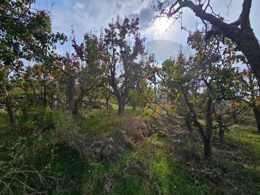 Land for sale/Prime Residential/Unobstructed panoramic… — 4