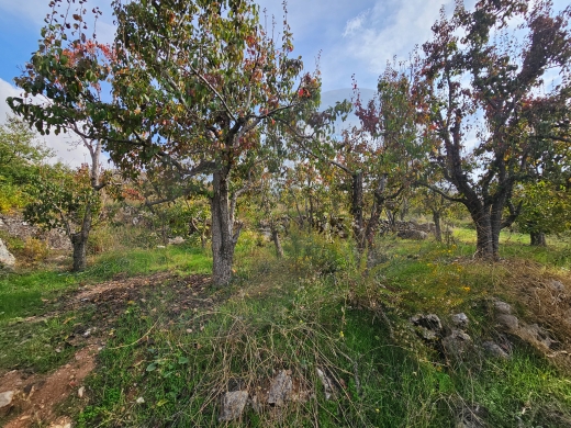 Land for sale/Prime Residential/Unobstructed panoramic… — 3