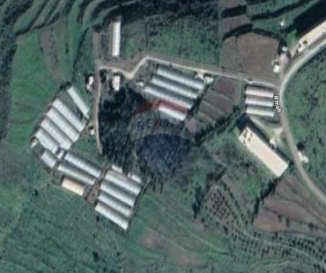 Lands for sale in Aicha Bakkar - R9-2994 Land for Sale in Rumah Akkar - 62,142 m² with Road & Electricity