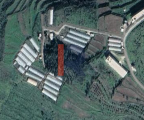 R9-2994 Land for Sale in Rumah Akkar – 62,142 m² with Road & Electricity