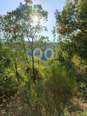 Lands for sale in Kfar Hatna - Land for Sale Kfar Hatna Batroun Area 2085Sqm
