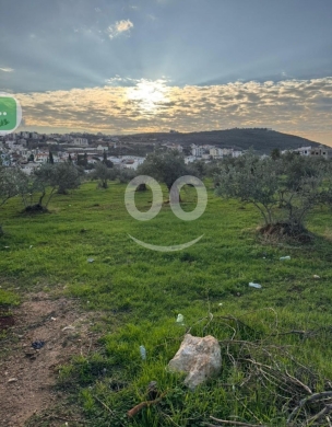 اراضي للبيع في راس مسقا - أرض لقطة 5167م للبيع في راسمسقا الكورة | 5167sqm Prime Land for Sale Rasmaska