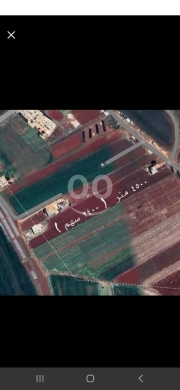 Lands for sale in Ali el-Nahri - بيع ارض علي نهري طريق سرعين