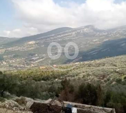 Lands for sale in Batroun - أرض للبيع في حلتا البترون ٦٠٠م | Land for Sale in Halta Batroun 600m