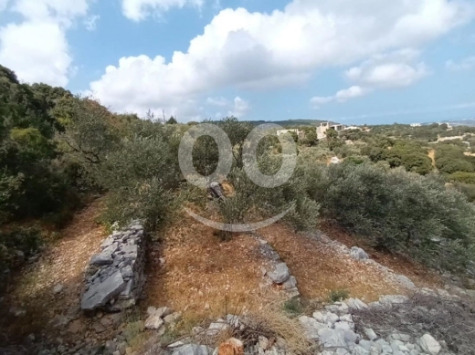 Land for Sale Chabtine Batroun Area 959 Sqm — 2
