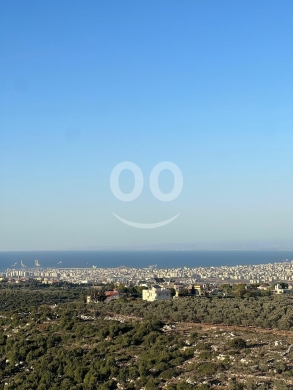 Apartments for sale in Nakhleh - شقة النخلة مطل جبلي رائع