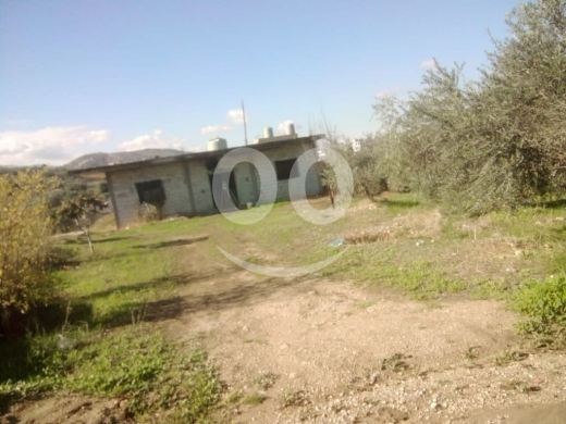 Other real estate in Al Hmayra - ارض ومنزل للبيع في الحميرة