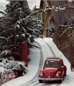 مطلوب ارض في المتن للبيع