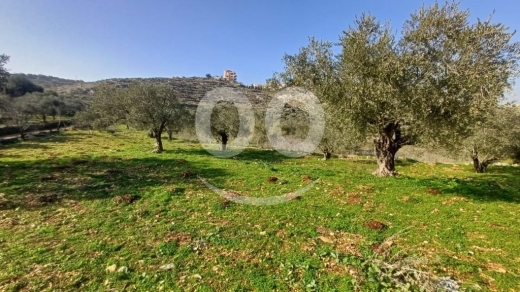 Lands for sale in Dalhoun - عقار مسطح للبيع في دلهون 2500 متر