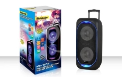 Meirende Trolley Bluetooth Karaoke Speaker dual 12inch