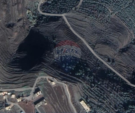 Lands for sale in Machha - R9-3077 Land for Sale in Machha - Akkar أرض للبيع في مشحة عكار