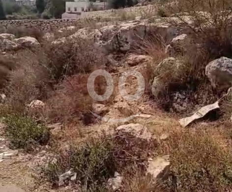 Lands for sale in Kousba - 1519 m2 land+open view 4sale in Nakhle/Koura - أرض للبيع في الكورةTR32L23