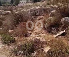 1519 m2 land+open view 4sale in Nakhle/Koura - أرض للبيع في الكورةTR32L23
