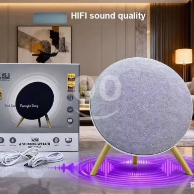 Portable speaker — 2