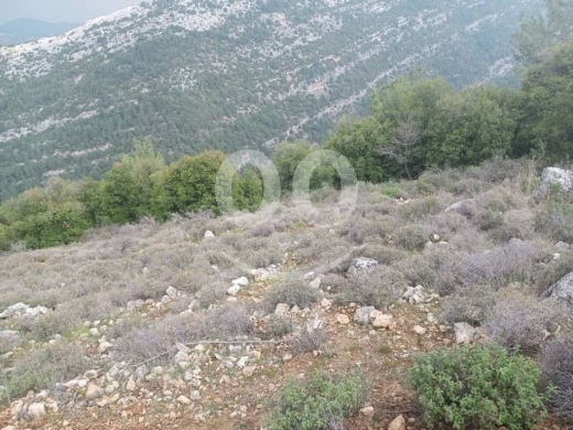 Lands for sale in Bet Kessab - Land for Sale Hardine - Beit Kassab Batroun Area 17003Sqm
