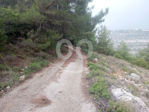 Land for Sale Hardine - Beit Kassab Batroun Area 17003Sqm — 2