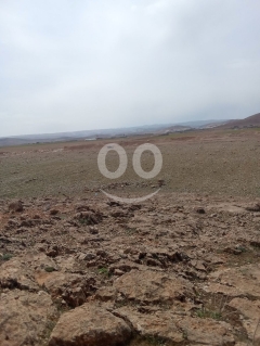 عقار استثماري لقطة 2400 سهم على ضفاف نهر العاصي | Prime 2400-Share Investment Land
