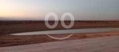 مشروع زراعي متكامل للبيع - 3 عقارات متلاصقة بسعر محروق | Prime 3-Plot Agricultural Project for Sale