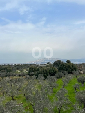 اراضي للبيع في قلحات - مشروع 6 فلل فاخرة للبيع في قلحات الكورة | Exclusive 6-Villa Project for Sale in Qolhat, Koura