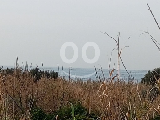 Lands for sale in Batroun - أرض صناعية للبيع في كوبا البترون | Industrial Land for Sale in Kouba Batroun