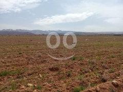 عقار استثماري زراعي مميز للبيع - فرصة تملك 800 أو 2400 سهم | Prime Agricultural Investment Land