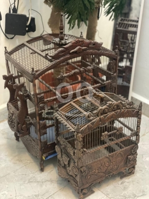 Birds in Mina - اقفاص انتيك